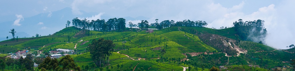 panorama sri lanka lipton's seat