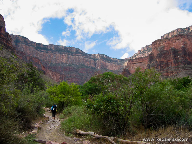 bright angel trail indian garden