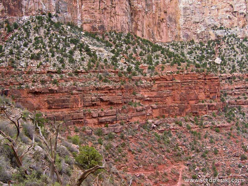 grand canyon bright angel trail