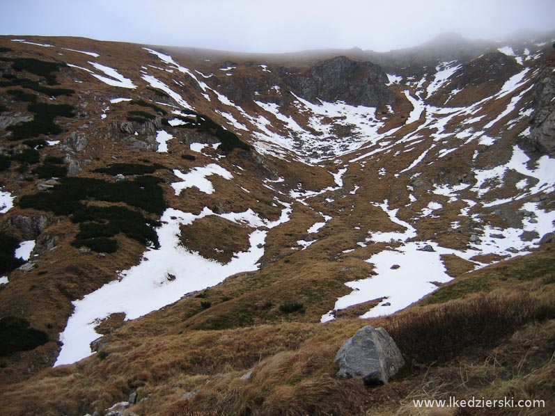 tatry