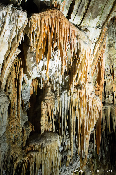 jaskinia postojna stalagmit