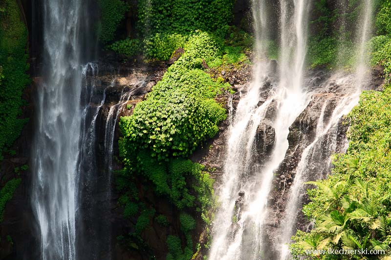 sekumpul waterfall