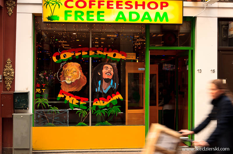 amsterdam coffeeshop