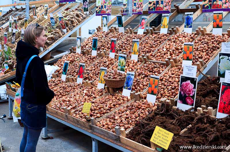 bloemenmarkt targ kwiatowy