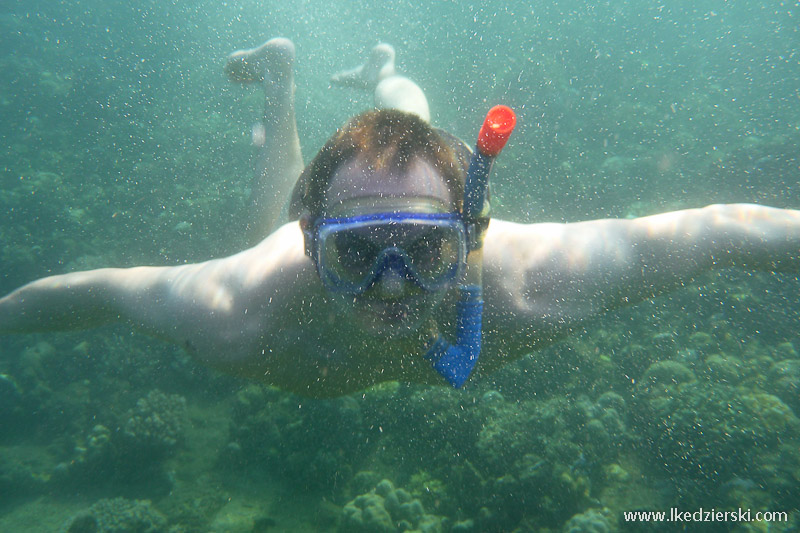 snorkeling w lovina łukasz kędzierski