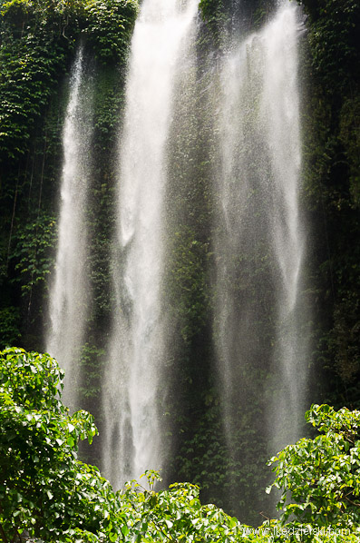 sekumpul waterfall