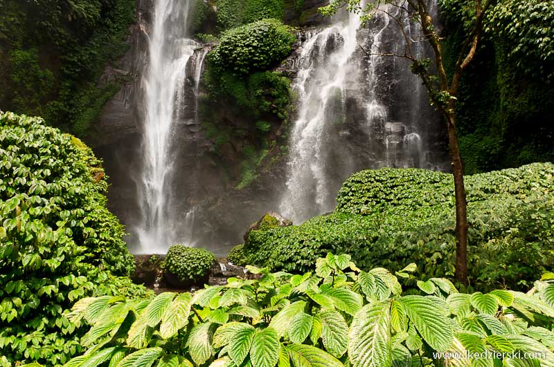 sekumpul waterfall