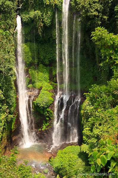 sekumpul waterfall