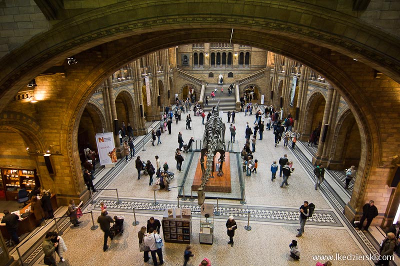 muzea londynu museum of natural history