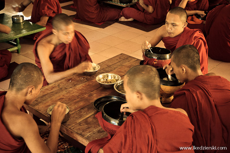 bago mnisi podczas posiłku