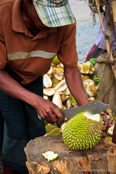 durian król owoców