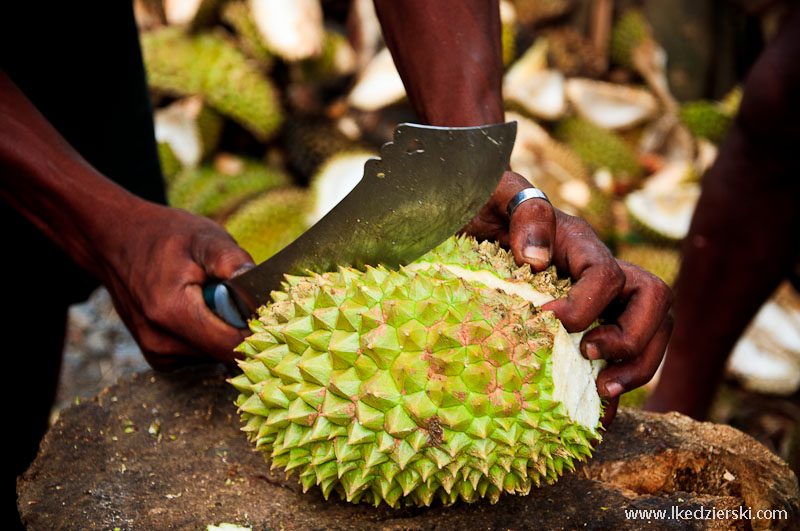 durian król owoców