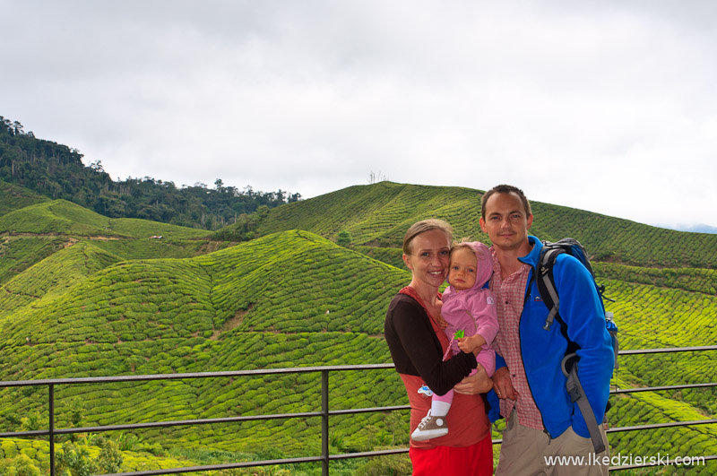 malezja cameron highlands