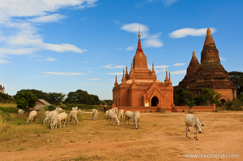 birma bagan stupy