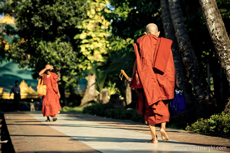 shwedagon pagoda