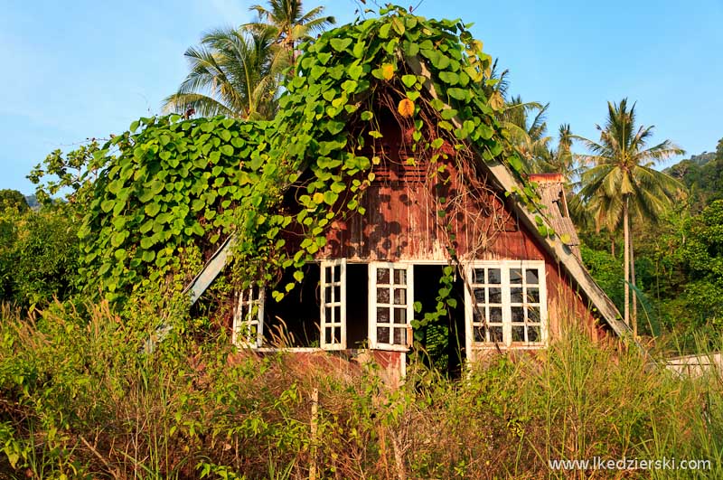 wyspa tioman bungalow