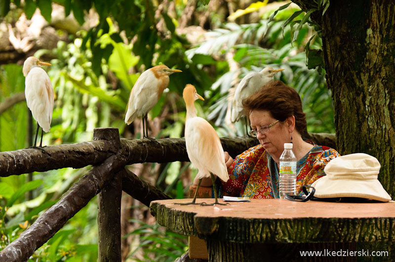 bird park w kuala lumpur