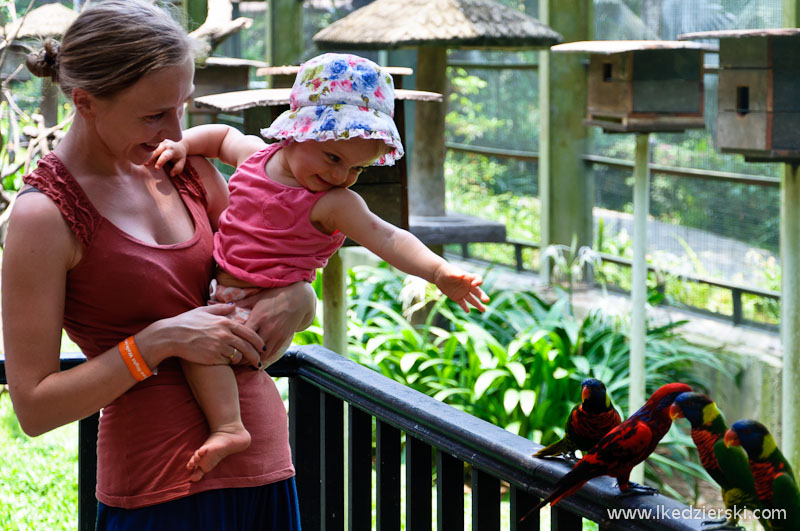 bird park w kuala lumpur