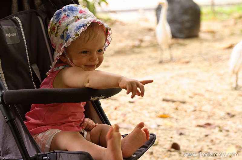 nadia w podróży bird park w kuala lumpur