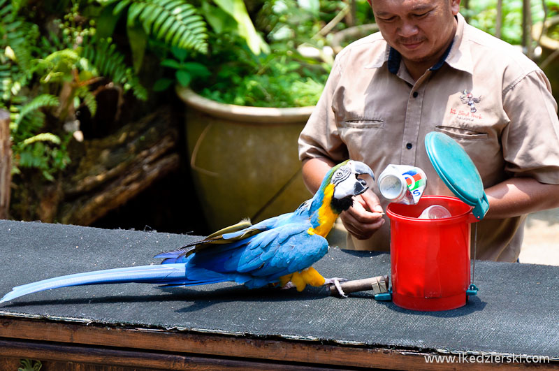 bird park w kuala lumpur