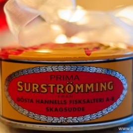 surströmming szwedzki śledź