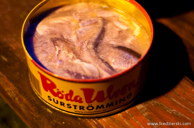 surströmming szwedzki śledź