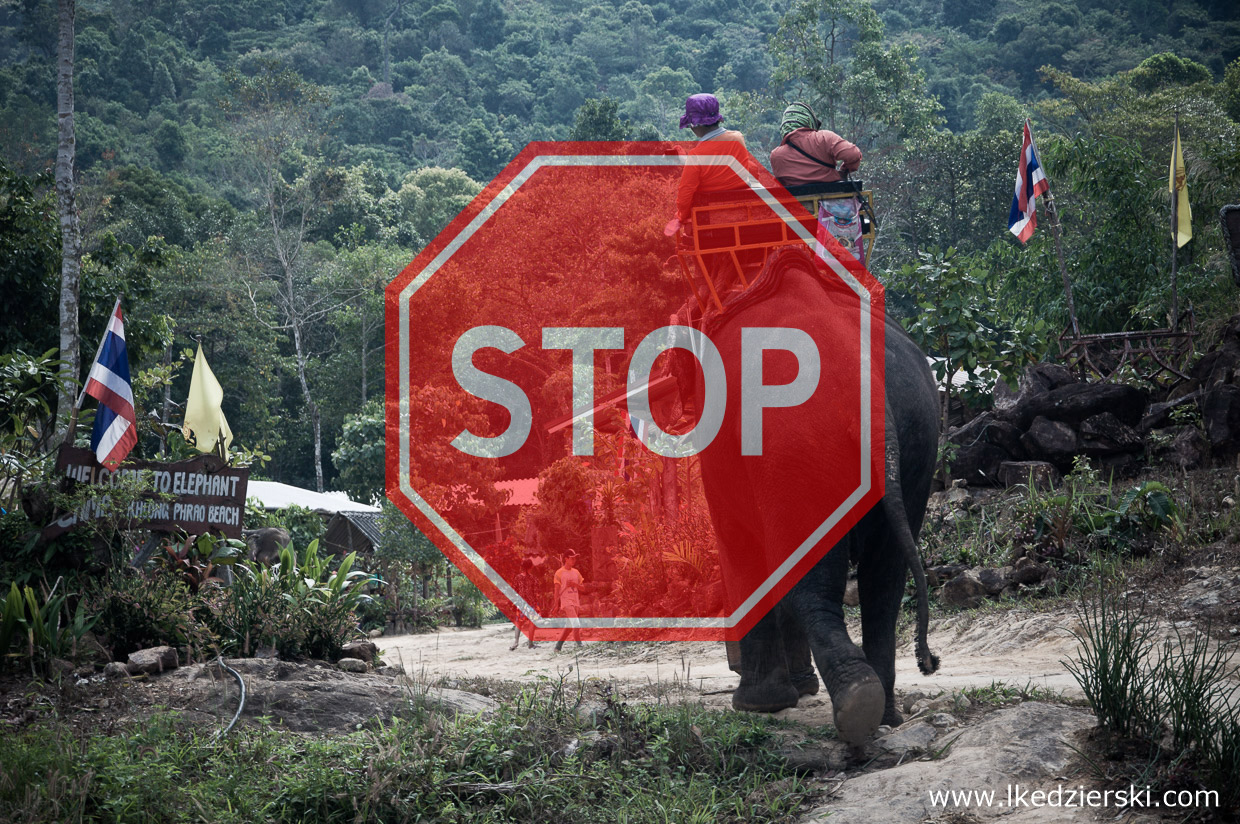 tajlandia jazda na słoniu STOP