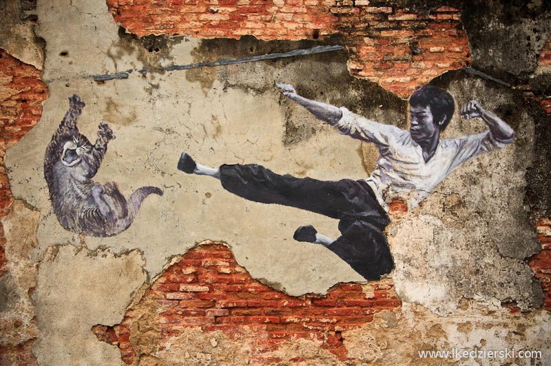 asa bruce lee cat mural