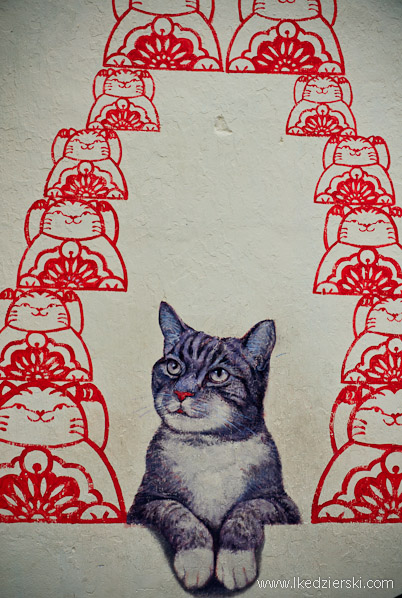 murale w georgetown asa fortune cat