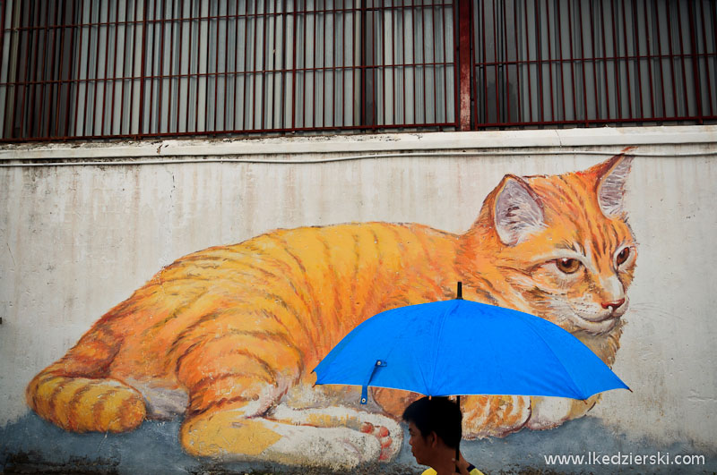 asa giant cat mural