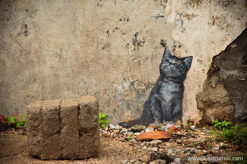 Little Blue Kitty