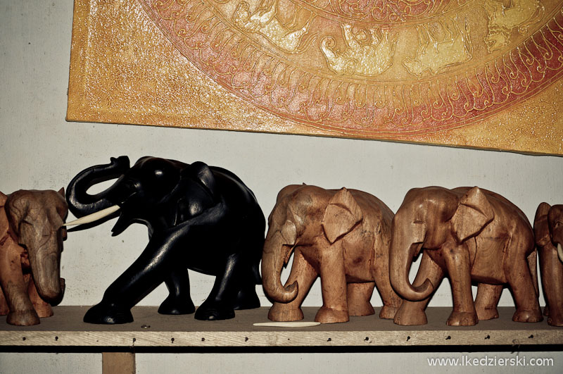sri lanka informacje praktyczne słonie z drewna