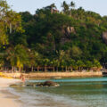 panorama koh tao