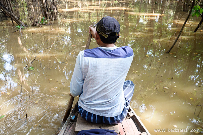 mangrove forest łódź