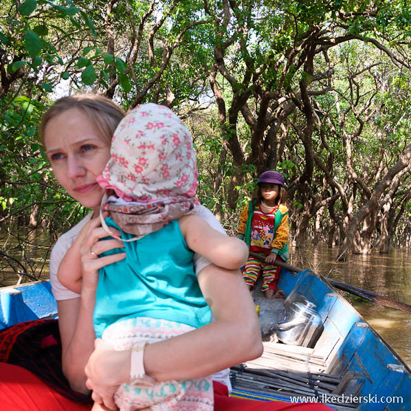 mangrove forest nadia