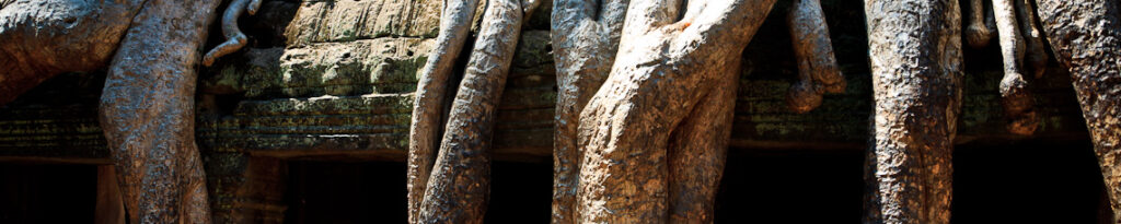 panorama ta prohm