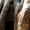 panorama ta prohm