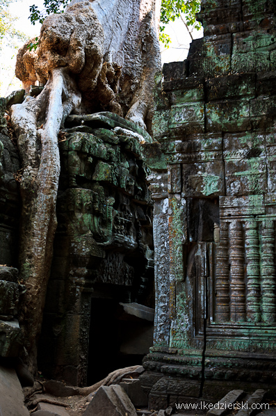 ta prohm temple