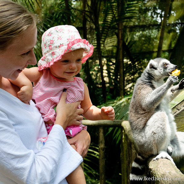 nadia w podróży sinapur zoo-1