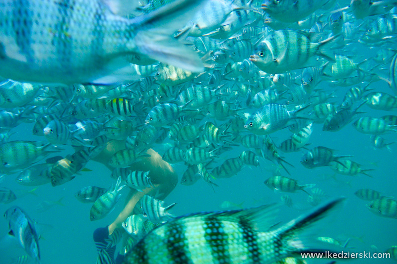 snorkeling na koh chang