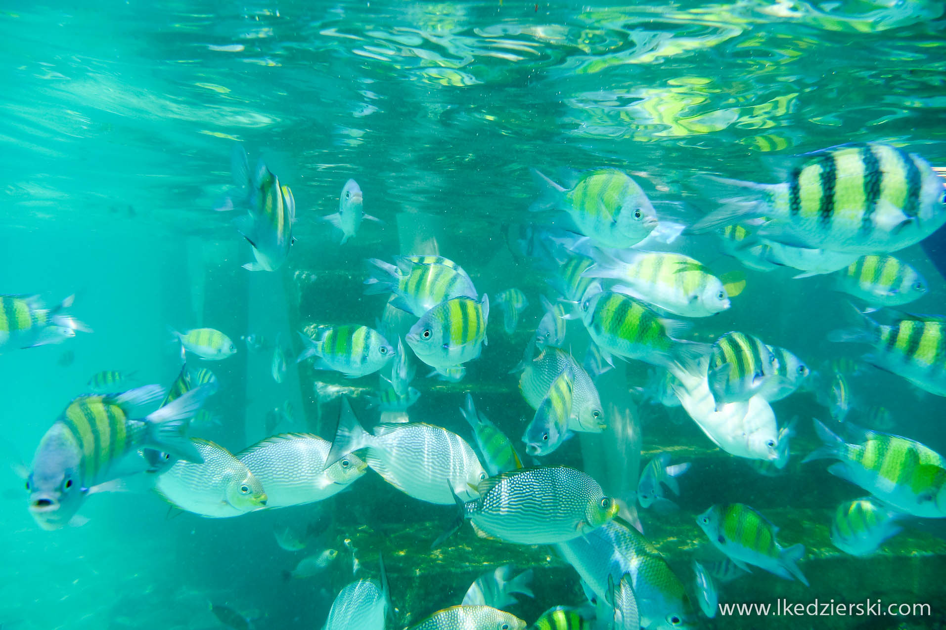 snorkeling na langkawi pulau payar