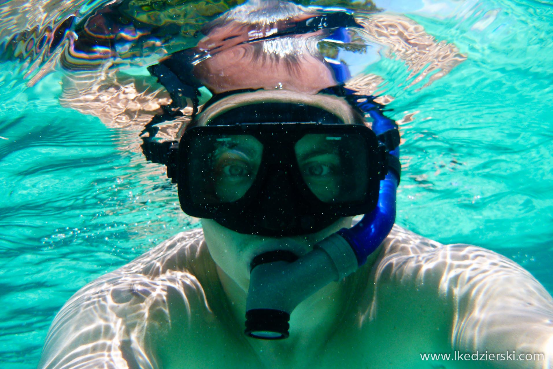 snorkeling snorkel