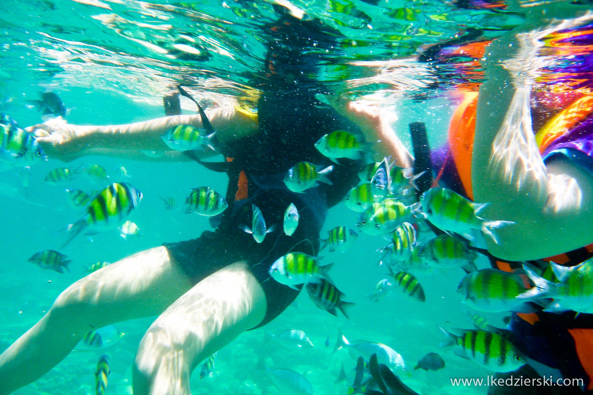snorkeling na langkawi pulau payar