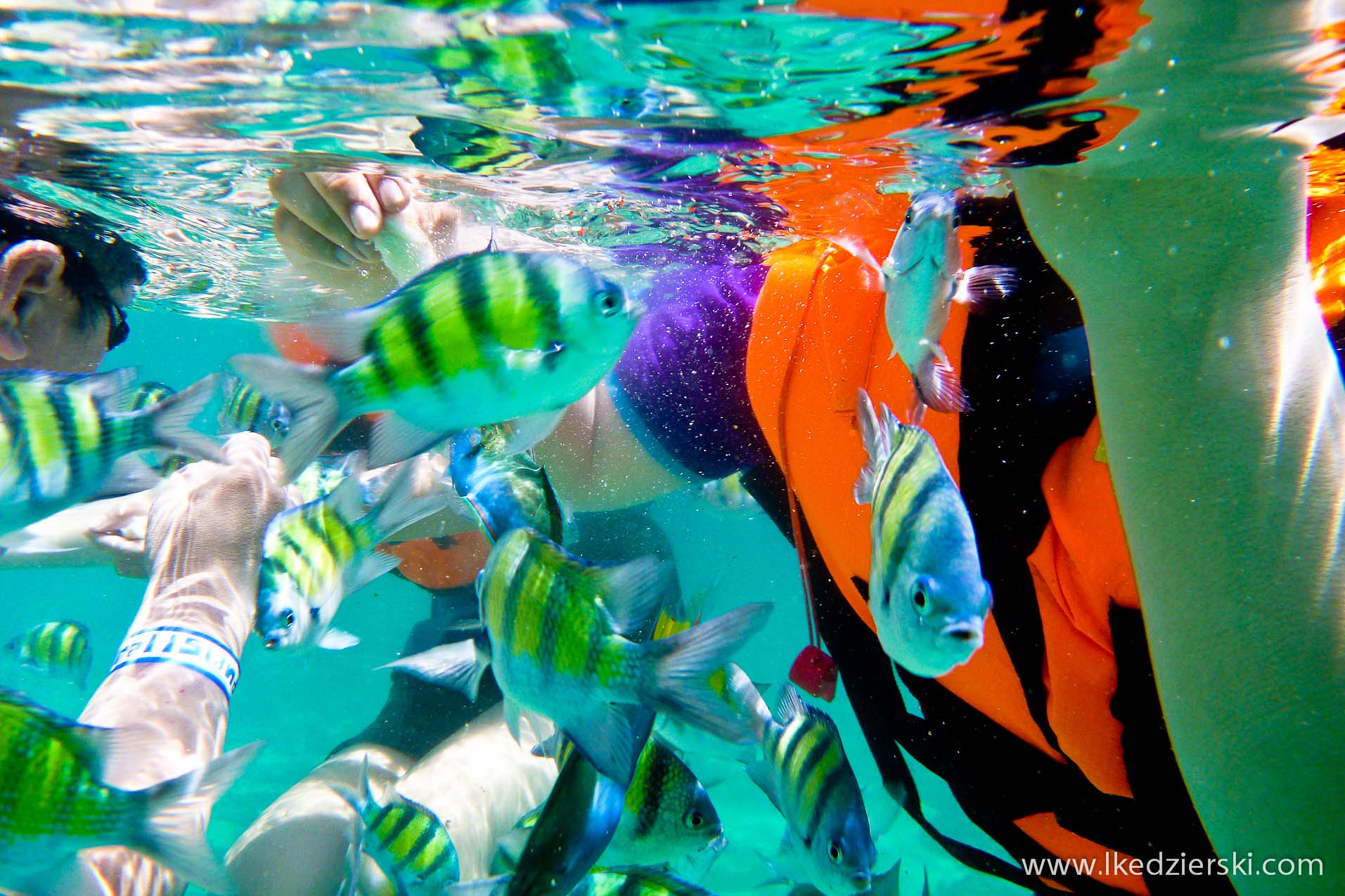 snorkeling na langkawi pulau payar