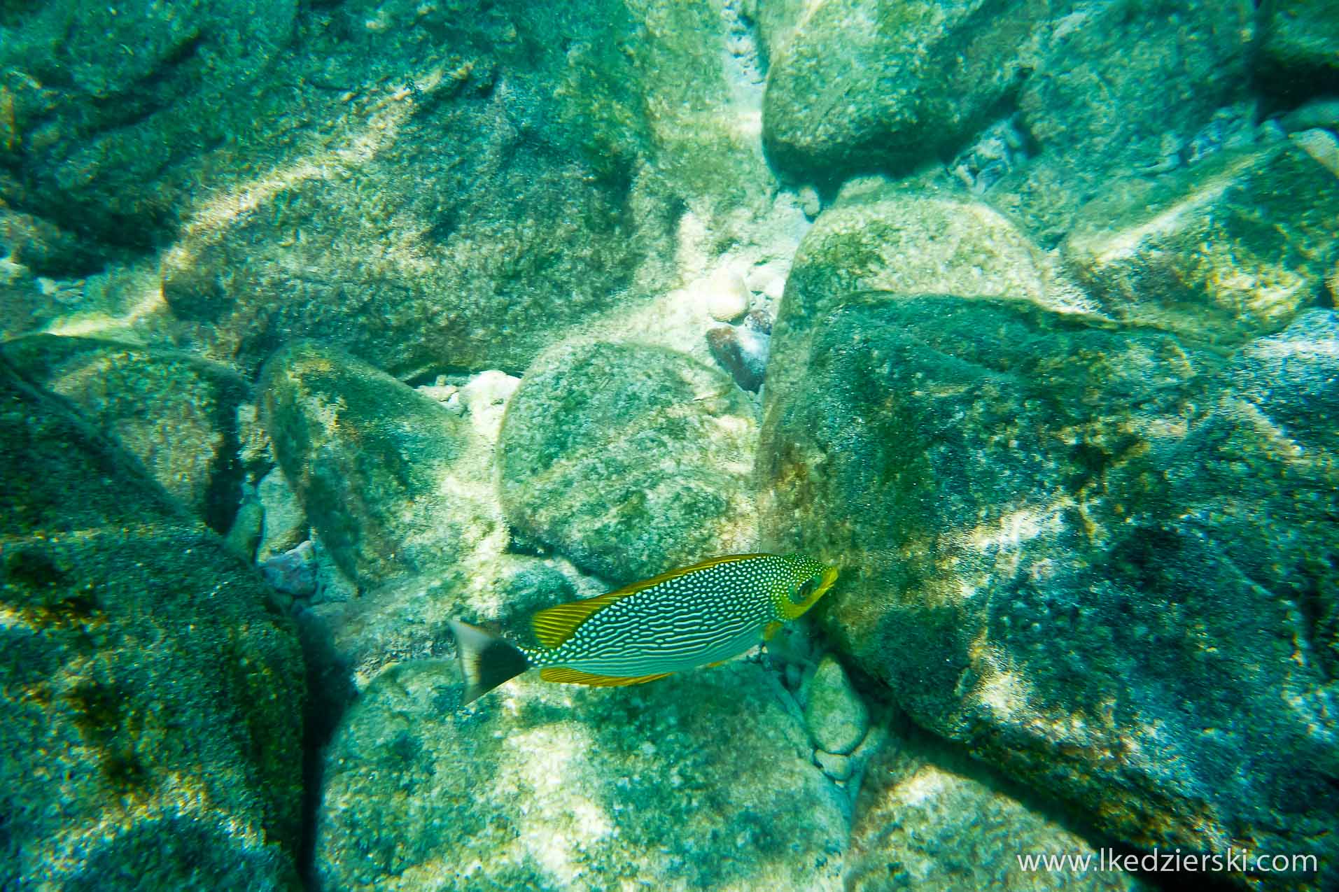 snorkeling na langkawi pulau payar