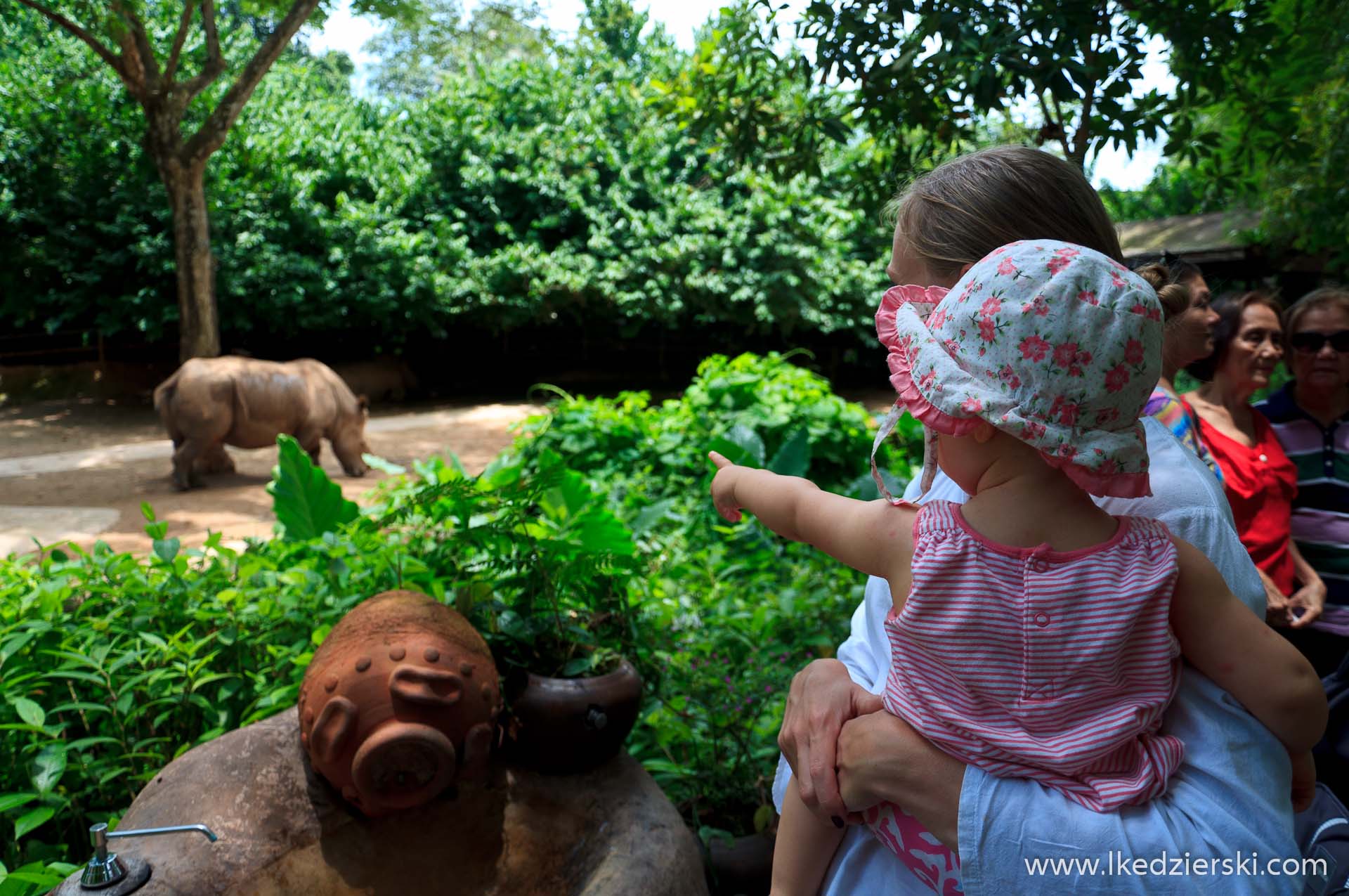 zoo w singapurze nadia w podróży