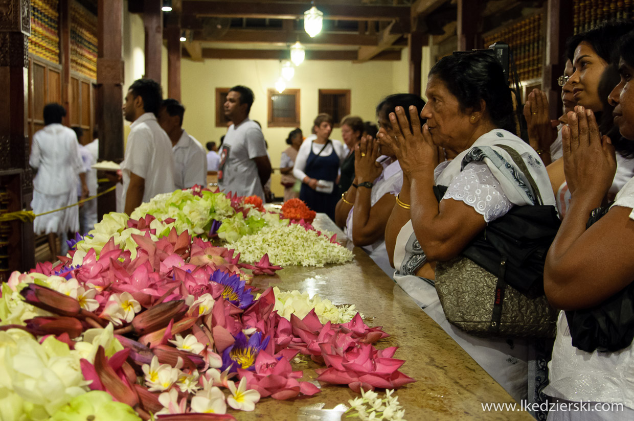 sri lanka sacred tooth relic świątynia zęba