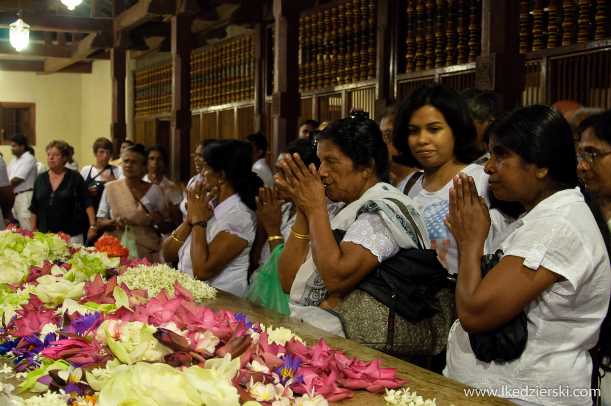 sri lanka sacred tooth relic świątynia zęba