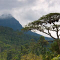 sri lanka adam's peak sri pada