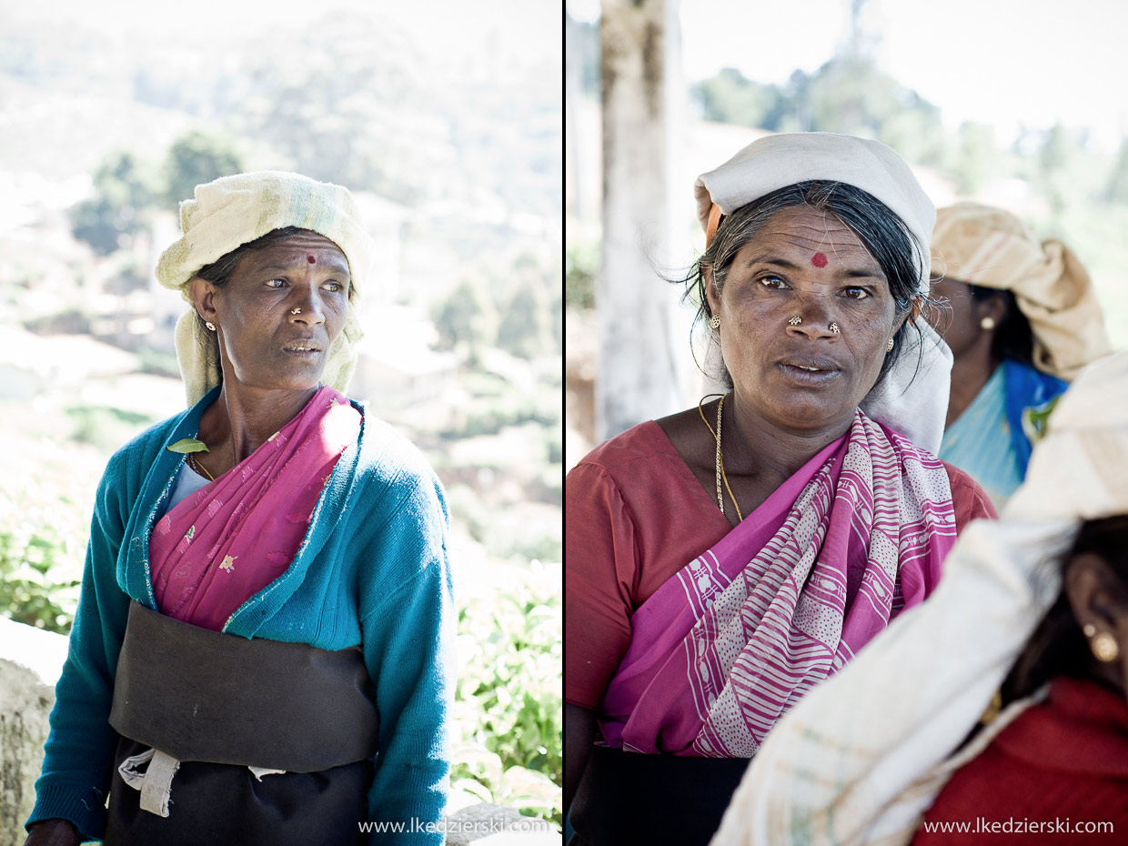 sri lanka zbieranie herbaty tamilki plantacje herbaty